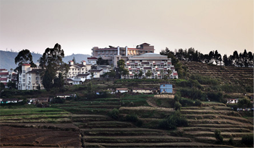 STERLING FERN HILL